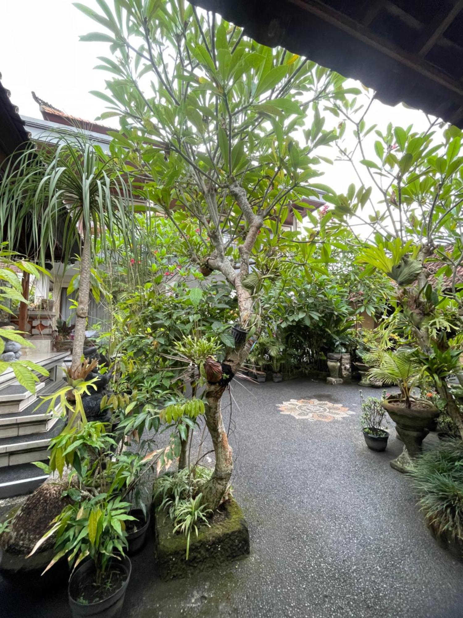 Suntari Homestay Ubud Extérieur photo