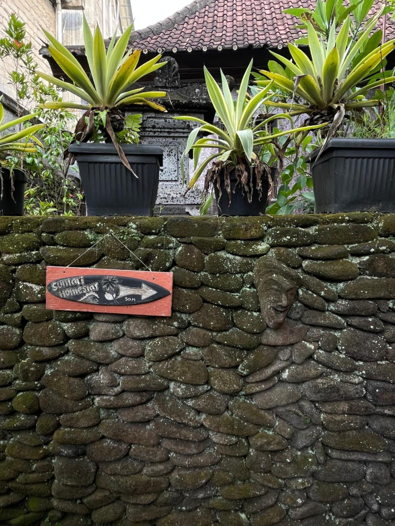 Suntari Homestay Ubud Extérieur photo